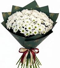 Букет цветов из:  Хризантемы в Тербунах