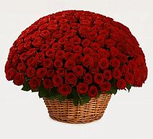 Премиум букет из: Розы в Тербунах