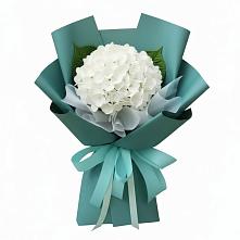 Букет цветов из:  Гортензия в Тербунах